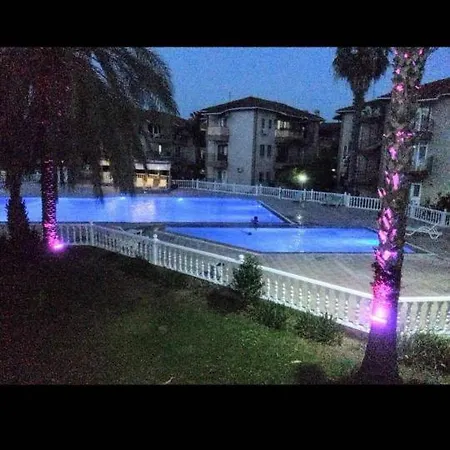 Palm City * Μπέλεκ