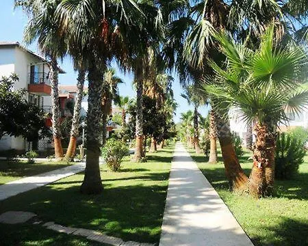 Palm City *